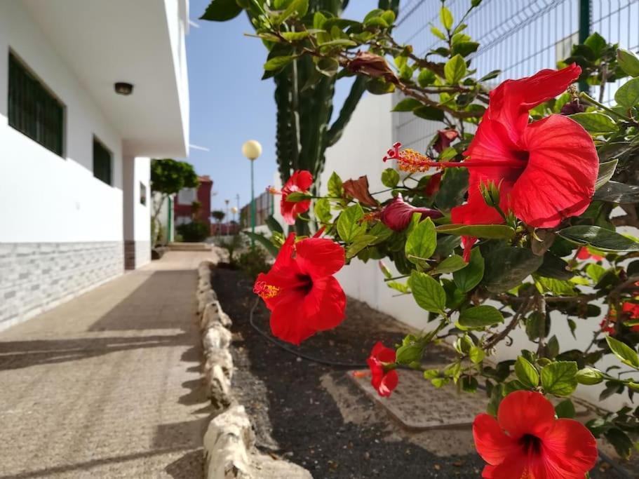 דירות קוסטה דה אנטיגואה Casa Azul מראה חיצוני תמונה