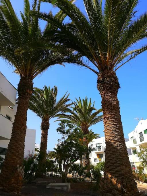 דירות קוסטה דה אנטיגואה Casa Azul מראה חיצוני תמונה