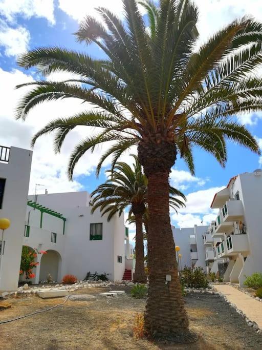 דירות קוסטה דה אנטיגואה Casa Azul מראה חיצוני תמונה